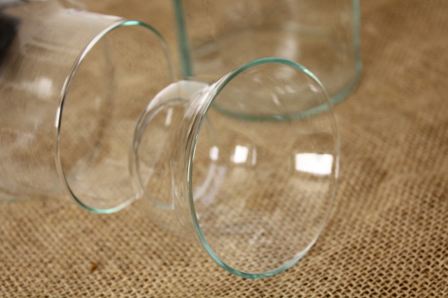 リユーズガラス バルブボトル 水栽培